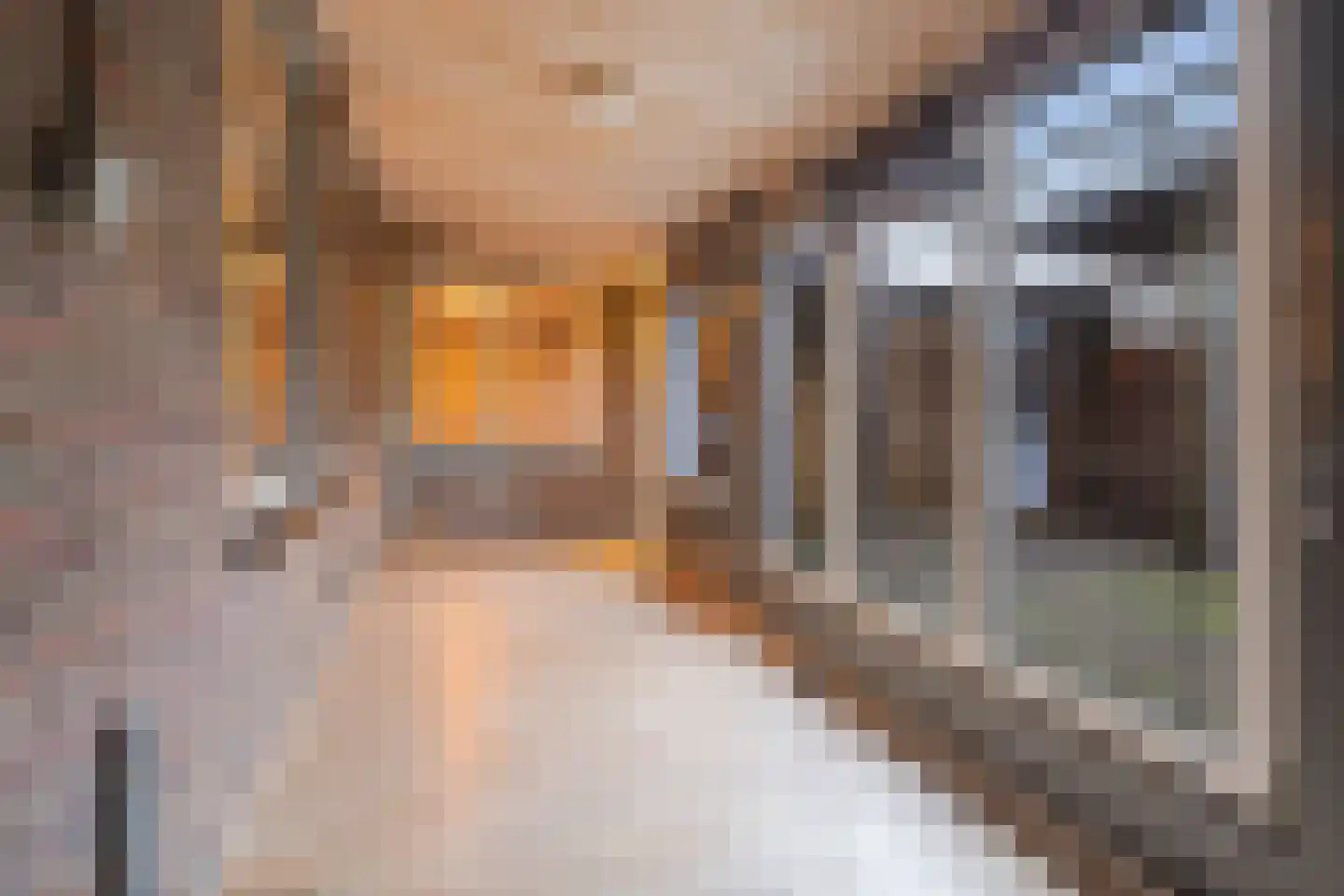 Raadhuisstraat 14 Rucphen thumbnail 49