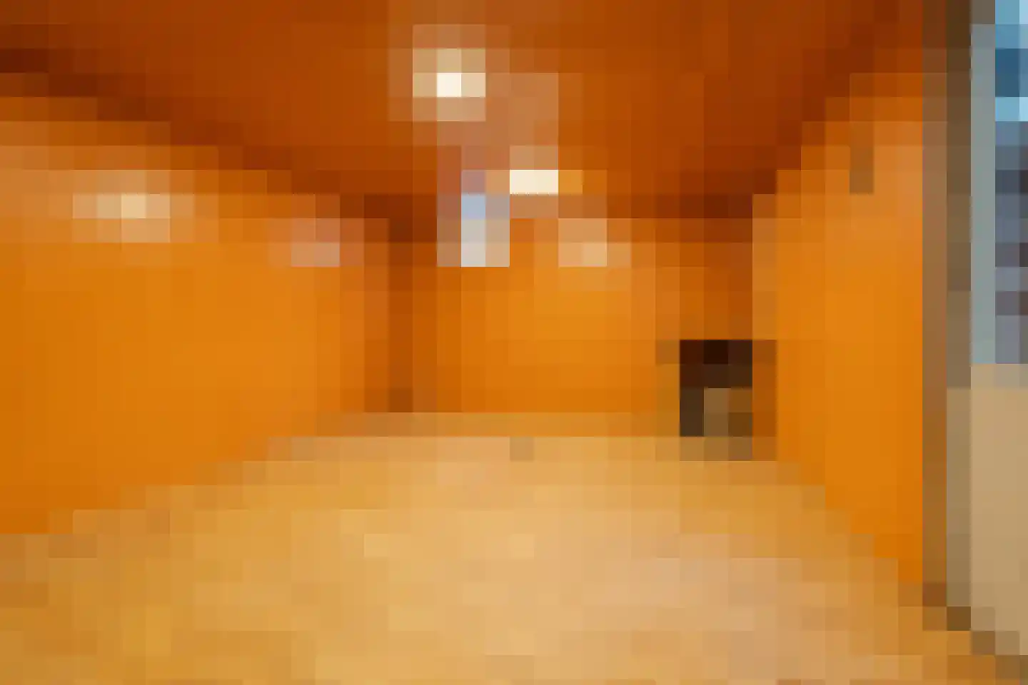 Raadhuisstraat 14 Rucphen thumbnail 50