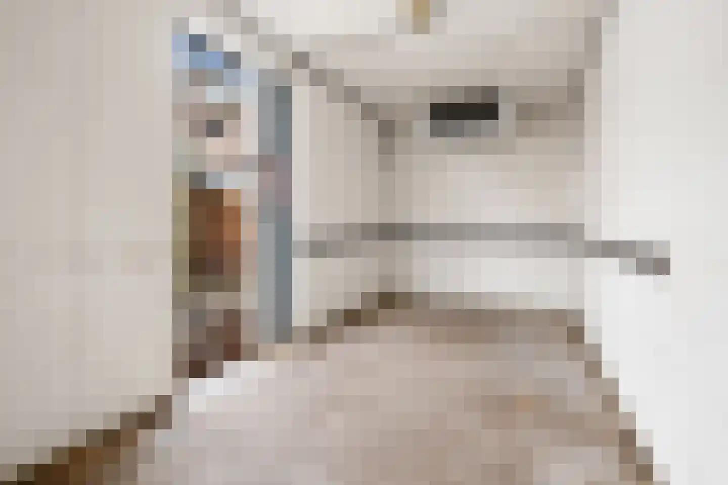 Raadhuisstraat 14 Rucphen thumbnail 55