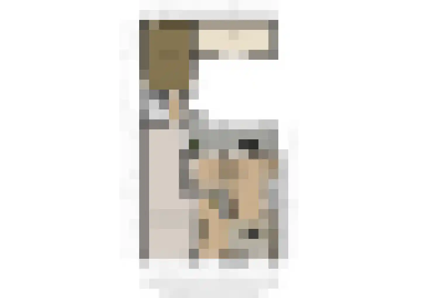 Raadhuisstraat 14 Rucphen thumbnail 62