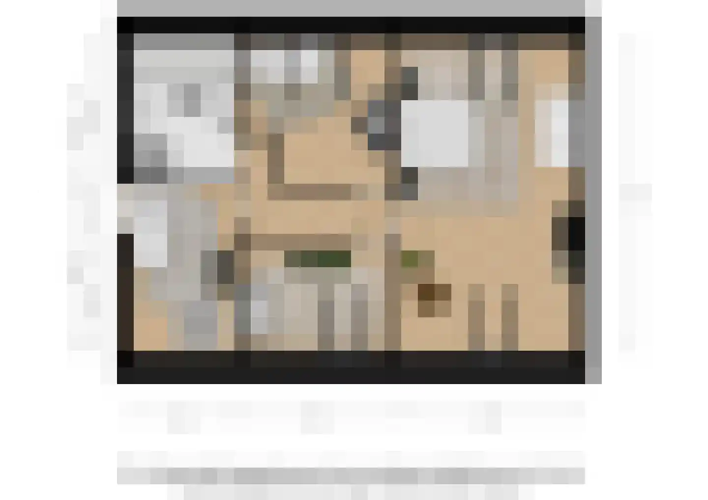 Raadhuisstraat 14 Rucphen thumbnail 64