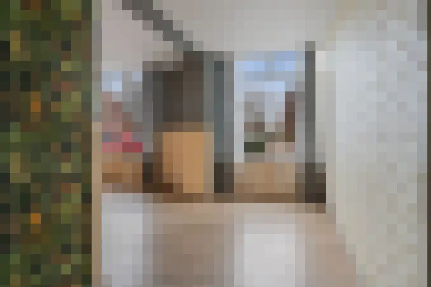 Raadhuisstraat 14 Rucphen thumbnail 9