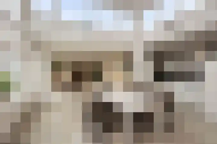 Raadhuisstraat 143 Heemskerk thumbnail 5