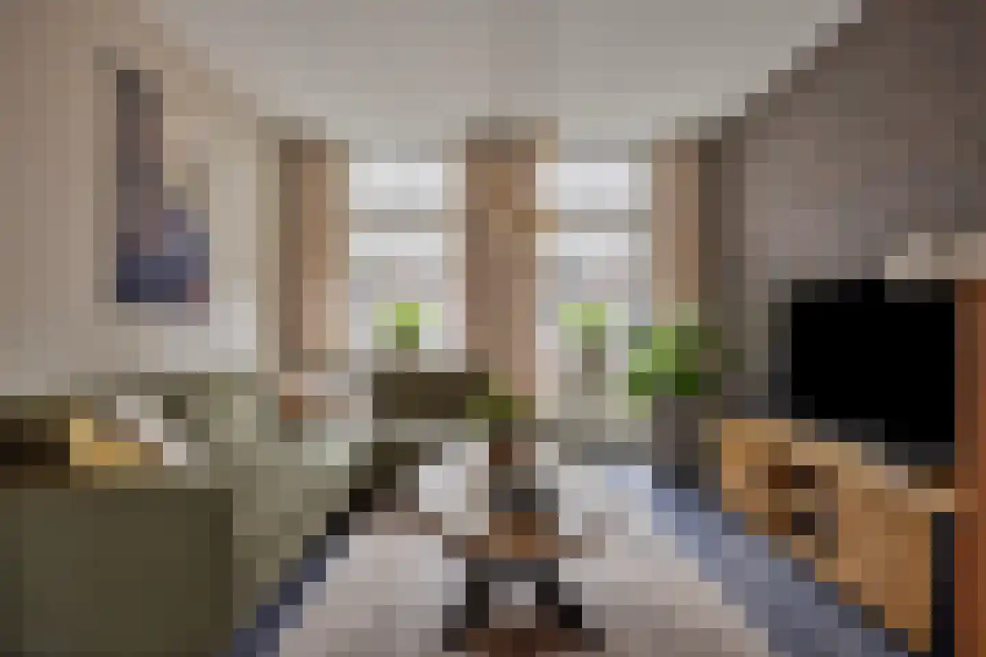 Raadhuisstraat 15 Terheijden thumbnail 10