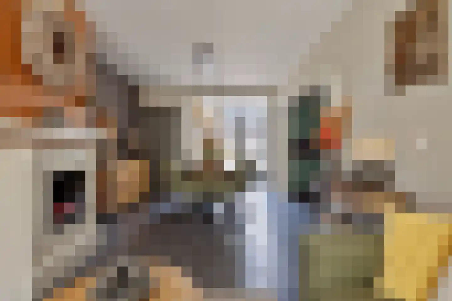 Raadhuisstraat 15 Terheijden thumbnail 12