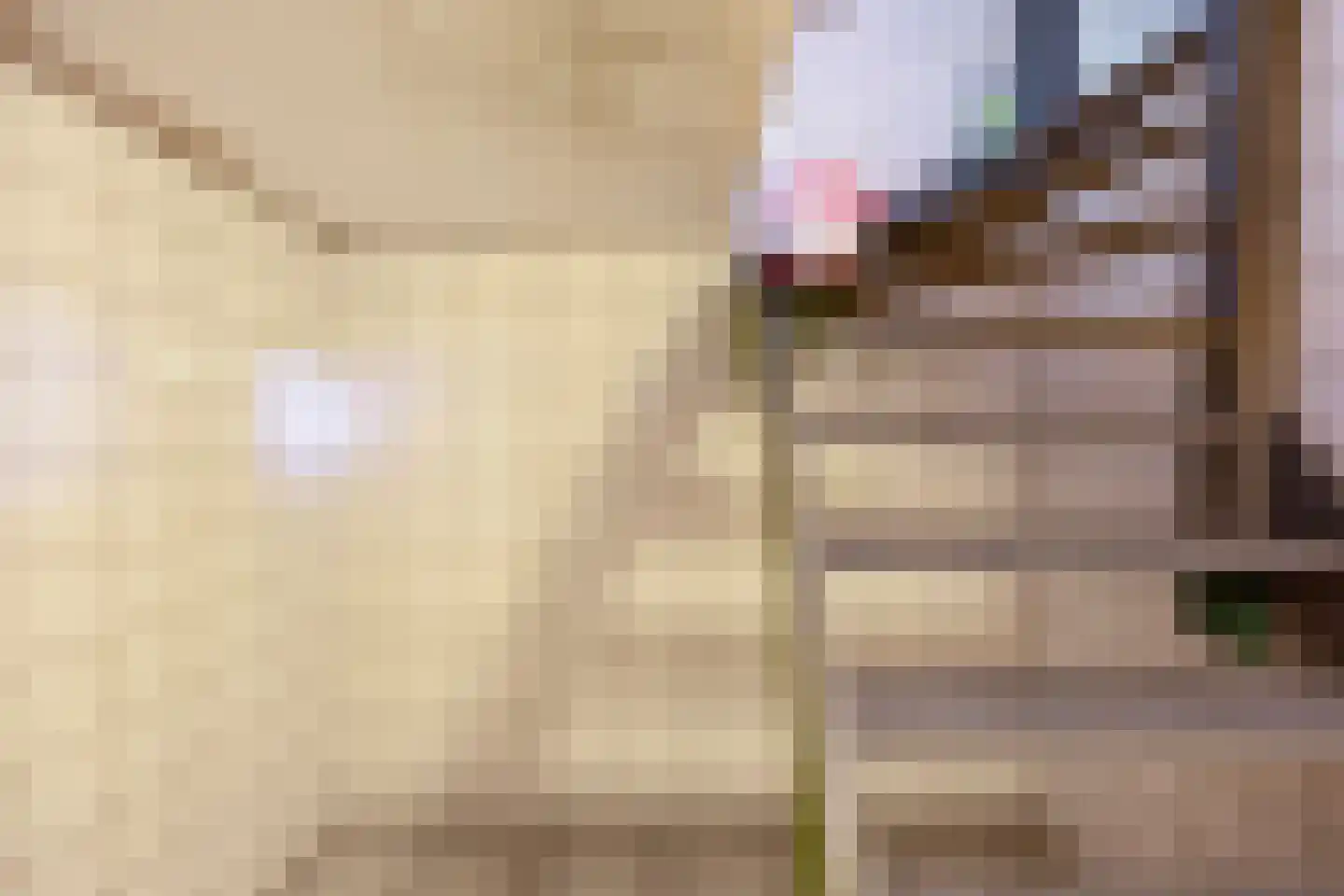 Raadhuisstraat 15 Terheijden thumbnail 15