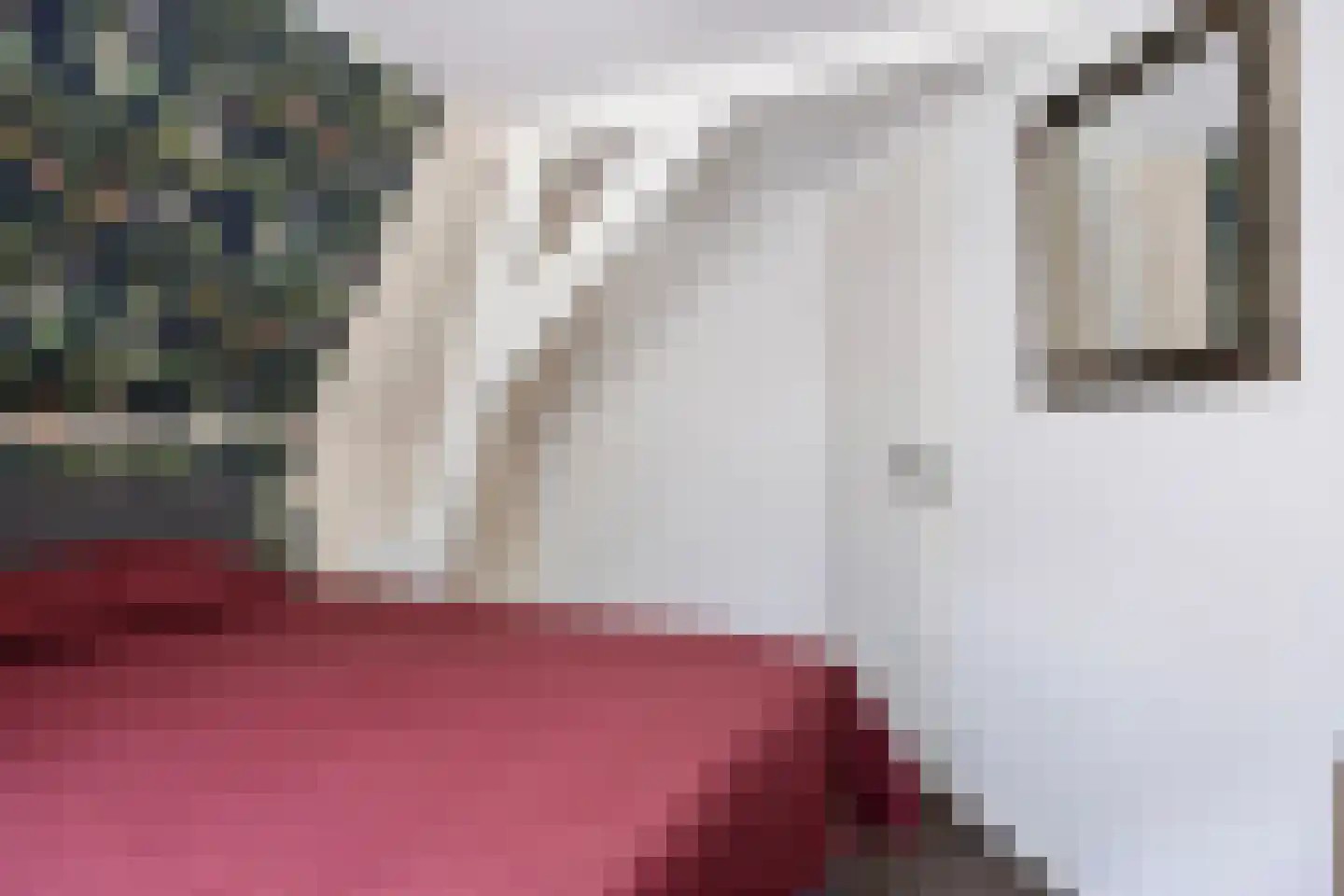 Raadhuisstraat 15 Terheijden thumbnail 21
