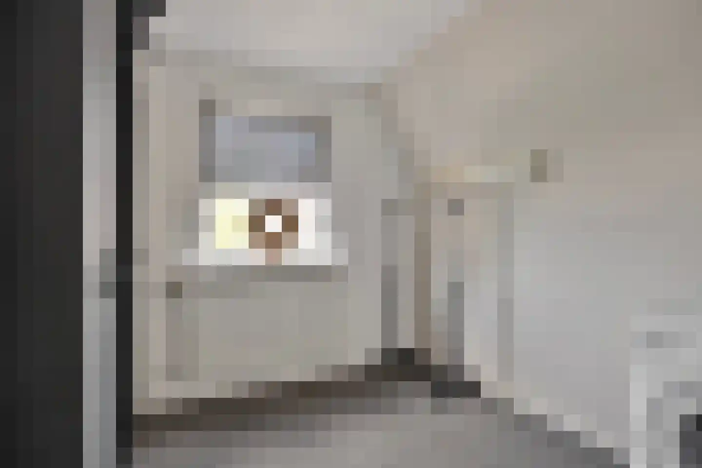 Raadhuisstraat 15 Terheijden thumbnail 24