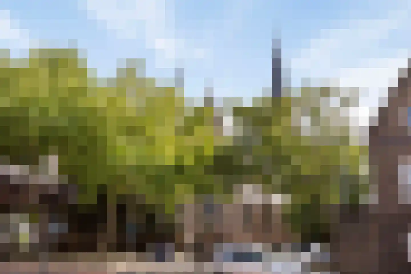 Raadhuisstraat 15 Terheijden thumbnail 39