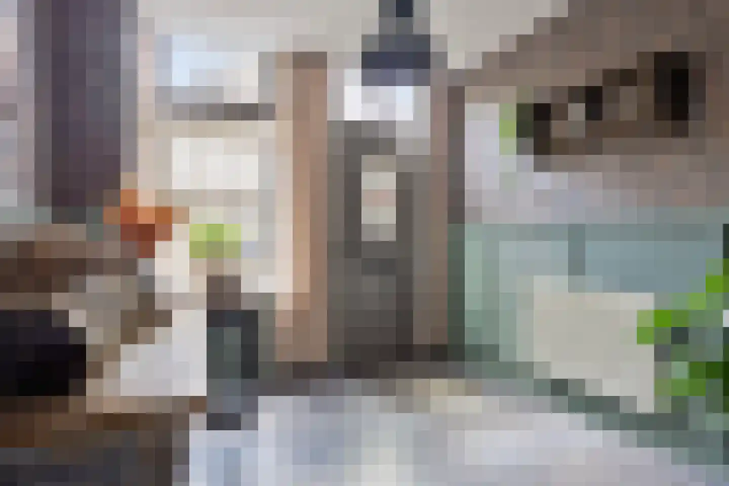 Raadhuisstraat 15 Terheijden thumbnail 4