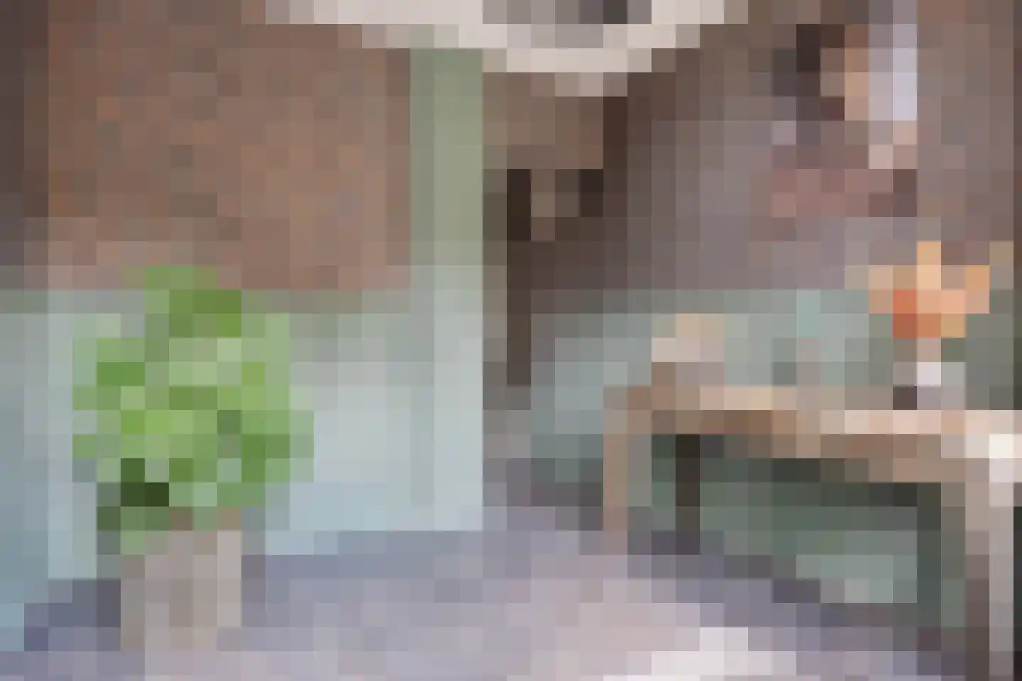 Raadhuisstraat 15 Terheijden thumbnail 5