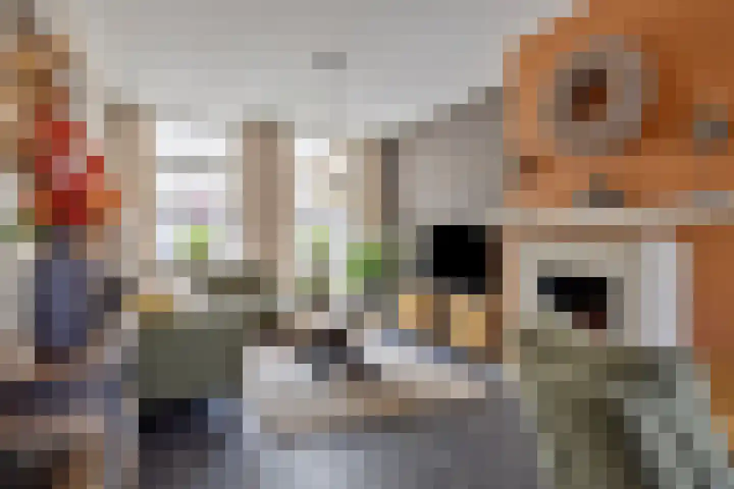 Raadhuisstraat 15 Terheijden thumbnail 9