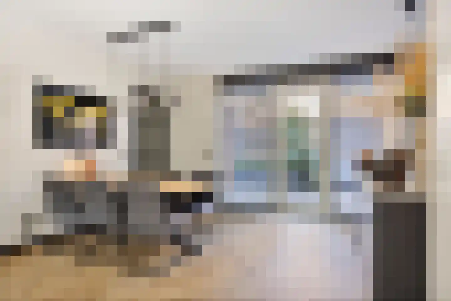 Raadhuisstraat 156 Panningen thumbnail 14
