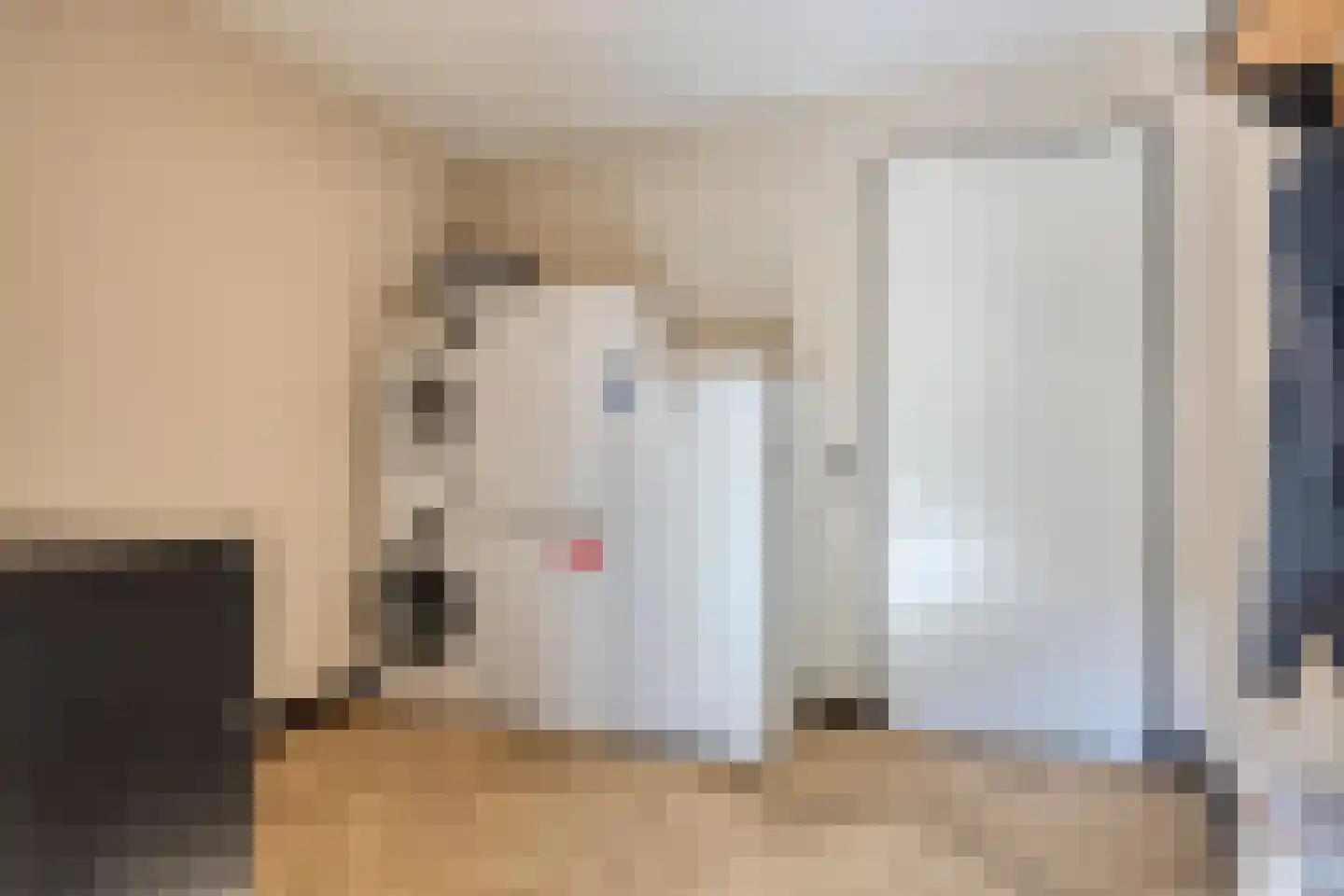 Raadhuisstraat 156 Panningen thumbnail 32