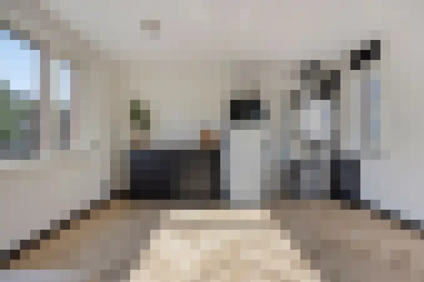 Raadhuisstraat 156 Panningen thumbnail 34
