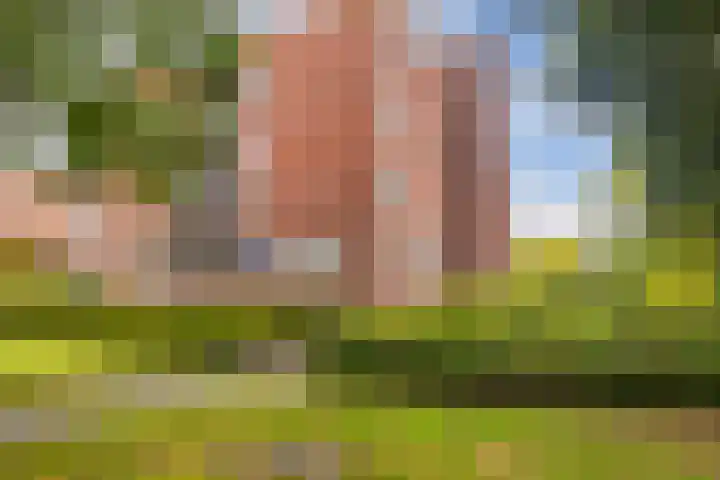 Raadhuisstraat 17 Ede thumbnail 23