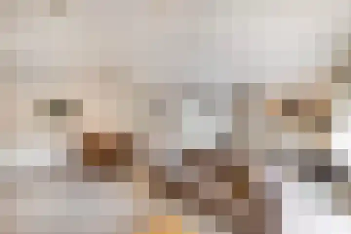 Raadhuisstraat 17 Ede thumbnail 7