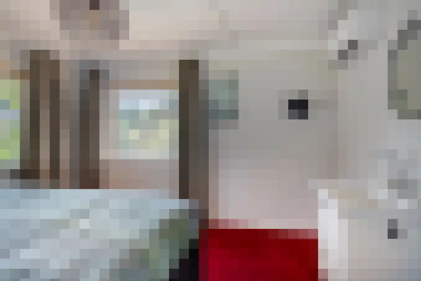 Raadhuisstraat 17 Lichtenvoorde thumbnail 29