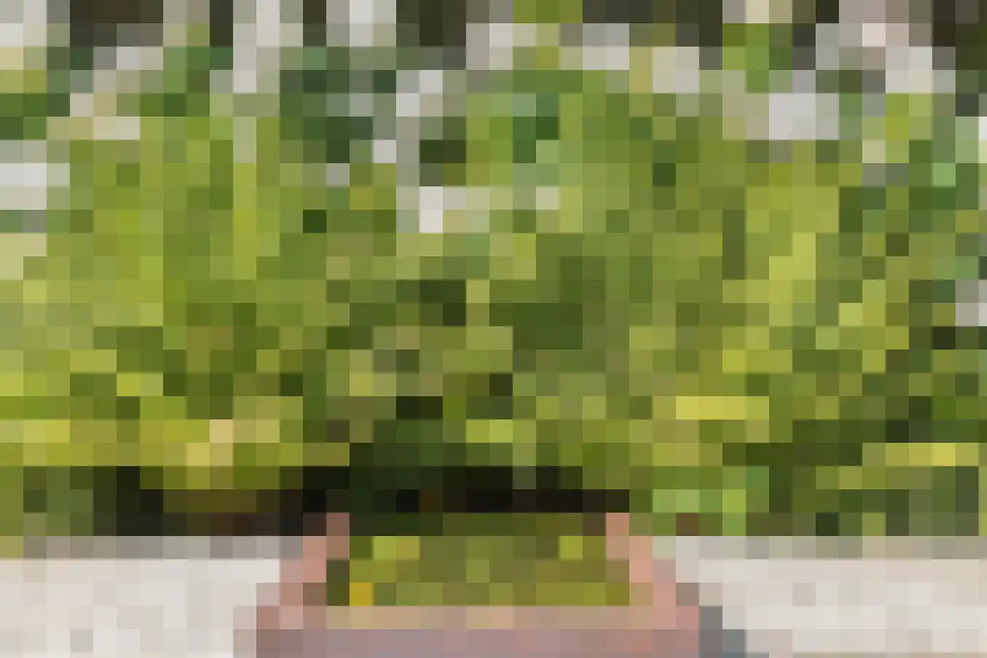Raadhuisstraat 17 Lichtenvoorde thumbnail 39