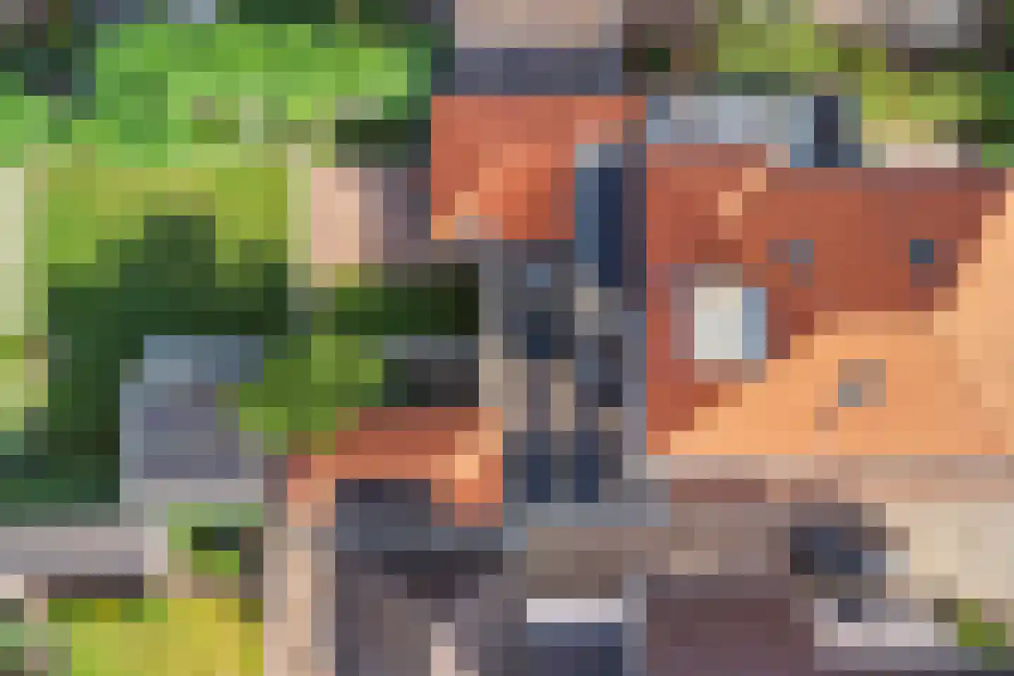 Raadhuisstraat 17 Lichtenvoorde thumbnail 4