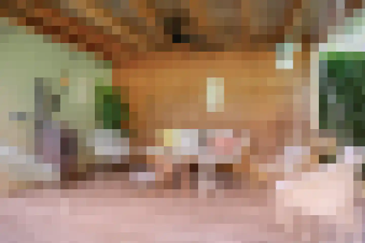 Raadhuisstraat 17 Lichtenvoorde thumbnail 40