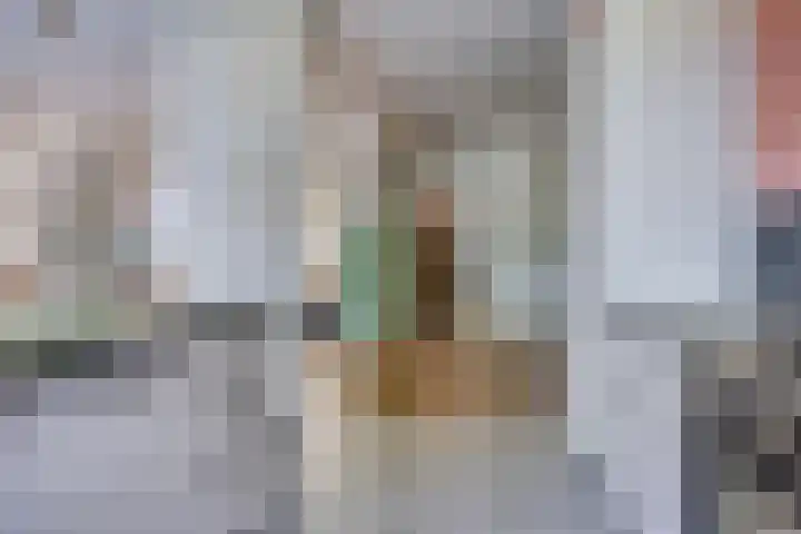 Raadhuisstraat 17 Terheijden thumbnail 13