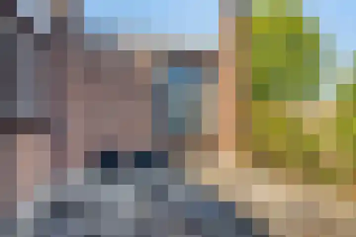 Raadhuisstraat 17 Terheijden thumbnail 26