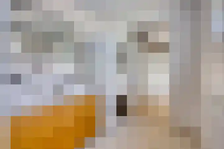 Raadhuisstraat 17 Terheijden thumbnail 28