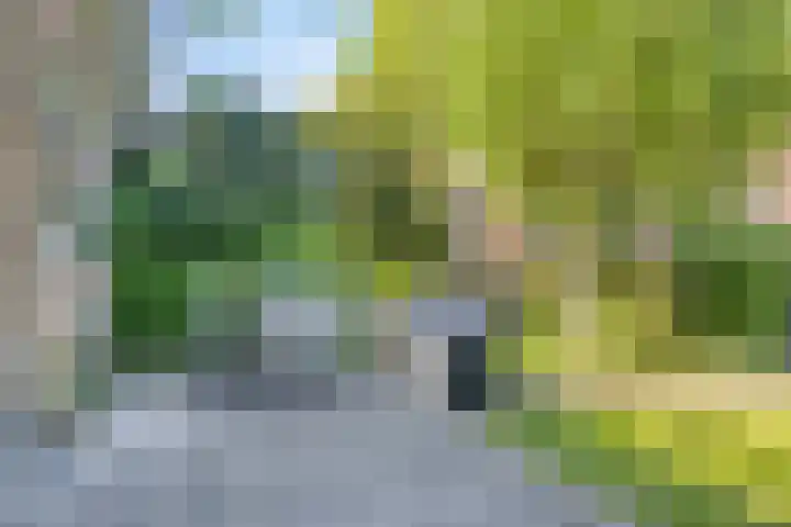 Raadhuisstraat 17 Terheijden thumbnail 31