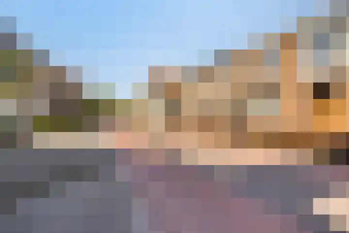 Raadhuisstraat 17 Terheijden thumbnail 33