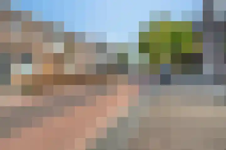 Raadhuisstraat 17 Terheijden thumbnail 34
