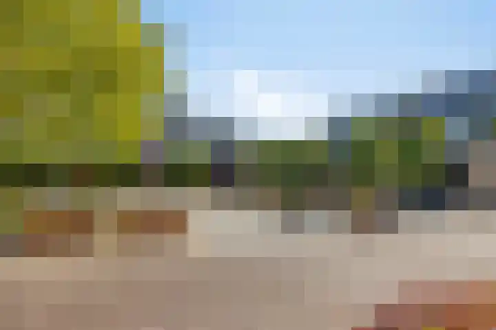Raadhuisstraat 17 Terheijden thumbnail 36