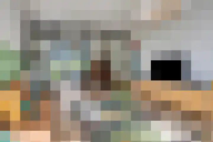 Raadhuisstraat 17 Terheijden thumbnail 5