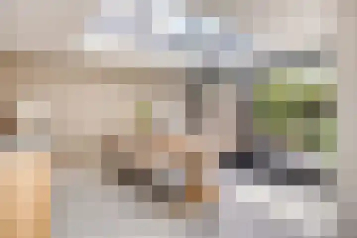 Raadhuisstraat 18 Geffen thumbnail 14