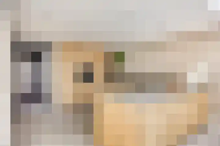 Raadhuisstraat 18 Geffen thumbnail 15