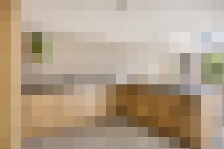 Raadhuisstraat 18 Geffen thumbnail 16