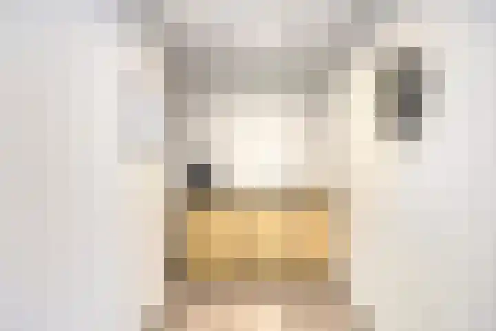 Raadhuisstraat 18 Geffen thumbnail 20