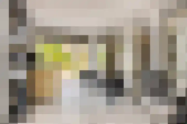 Raadhuisstraat 18 Geffen thumbnail 22