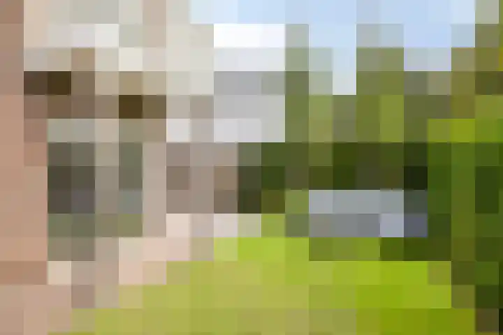 Raadhuisstraat 18 Geffen thumbnail 29