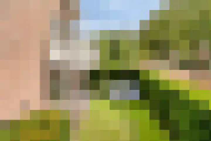 Raadhuisstraat 18 Geffen thumbnail 30