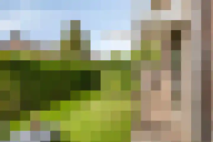 Raadhuisstraat 18 Geffen thumbnail 31