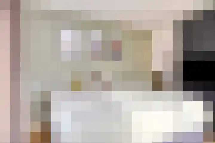 Raadhuisstraat 18 Geffen thumbnail 40