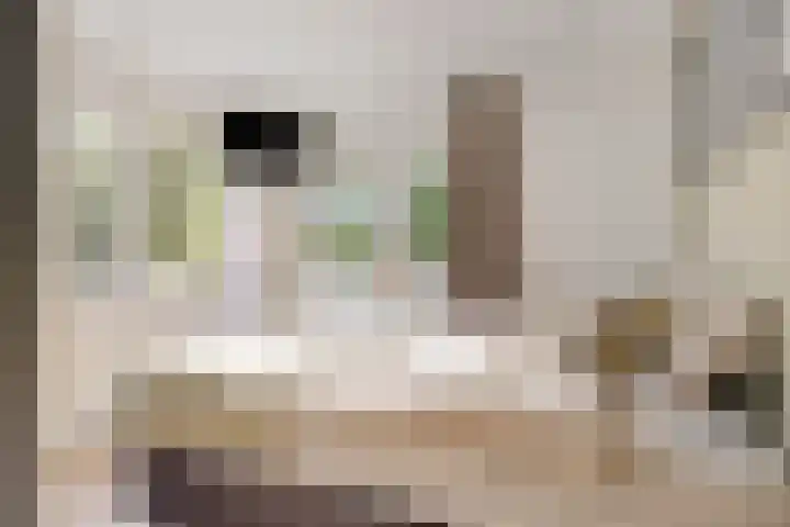 Raadhuisstraat 18 Geffen thumbnail 41