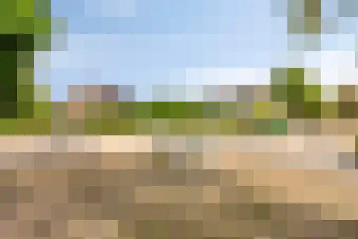 Raadhuisstraat 18 Geffen thumbnail 45