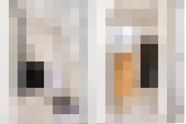 Raadhuisstraat 18 Geffen thumbnail 6