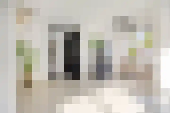 Raadhuisstraat 18 Geffen thumbnail 8