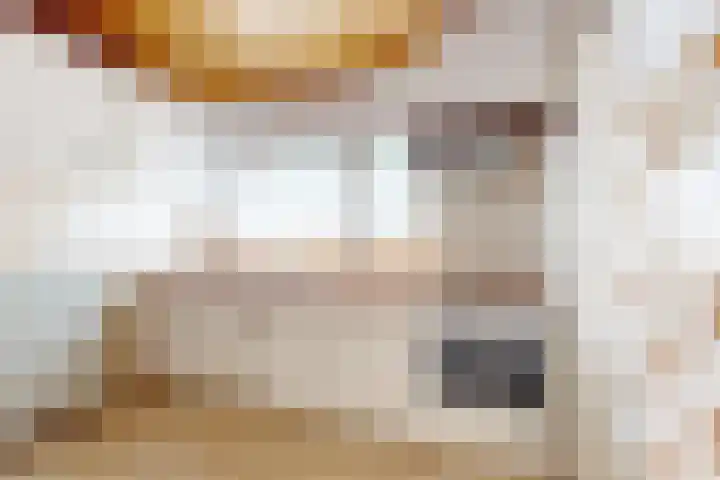 Raadhuisstraat 18 Hooge Zwaluwe thumbnail 24