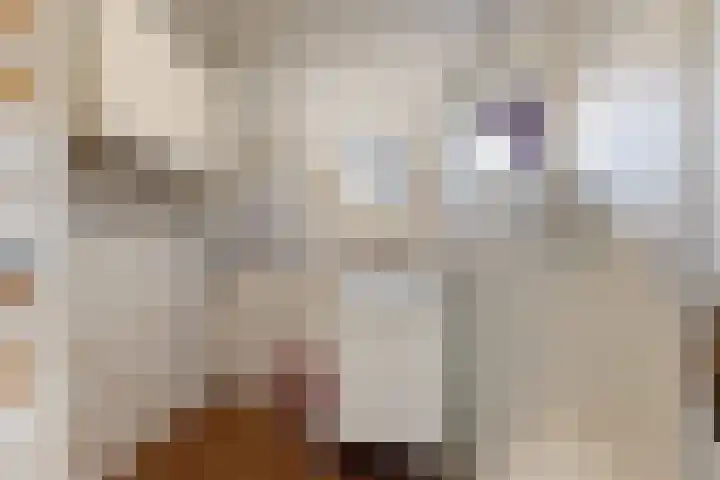 Raadhuisstraat 18 Hooge Zwaluwe thumbnail 26