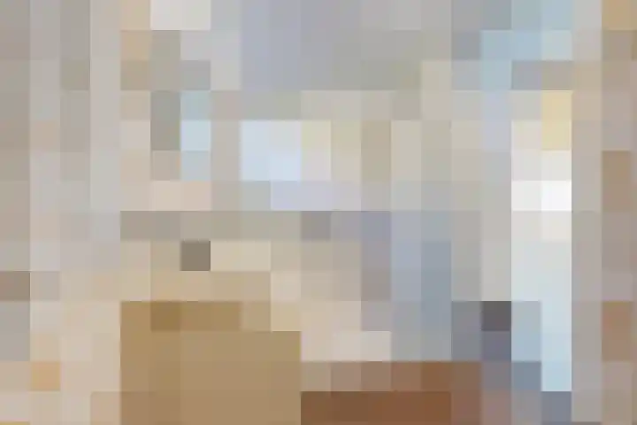Raadhuisstraat 18 Hooge Zwaluwe thumbnail 27
