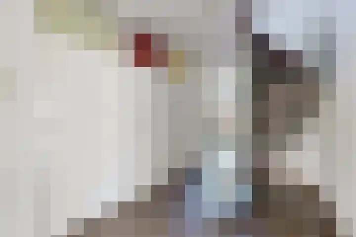 Raadhuisstraat 18 Hooge Zwaluwe thumbnail 28